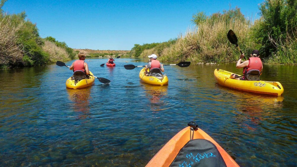 Picture 1 for Activity Phoenix: Self-Guided Kayaking Trip to Foxtail