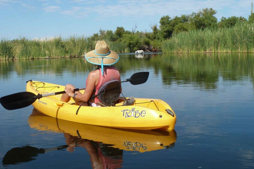 Picture 3 for Activity Phoenix: Self-Guided Kayaking Trip to Foxtail