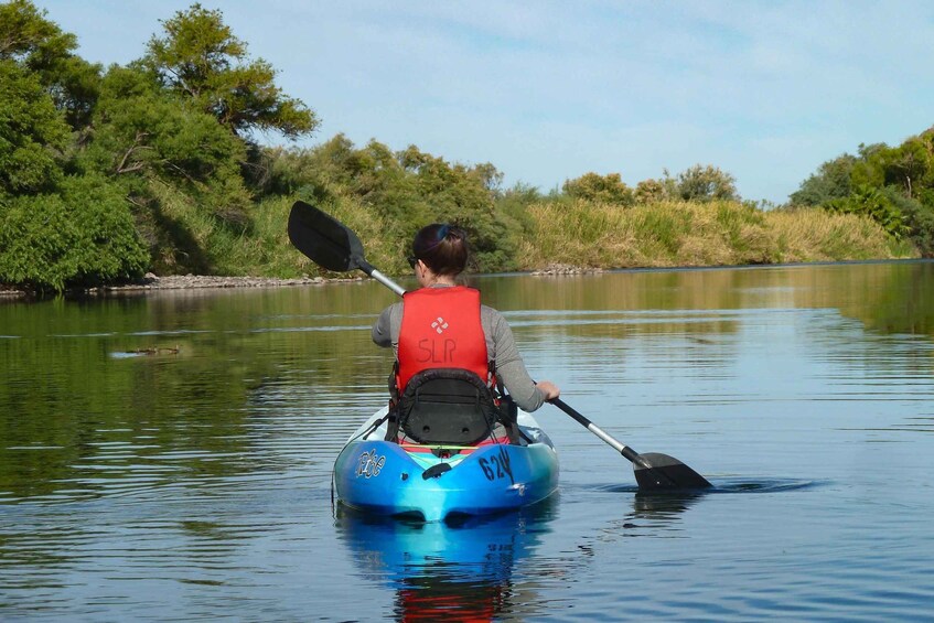 Picture 2 for Activity Phoenix: Self-Guided Kayaking Trip to Foxtail