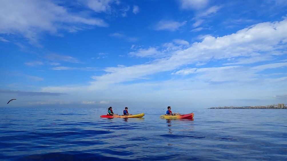 Picture 11 for Activity Tenerife: Kayaking and Snorkeling with Turtles