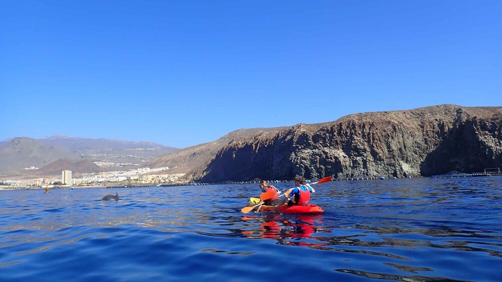 Picture 10 for Activity Tenerife: Kayaking and Snorkeling with Turtles