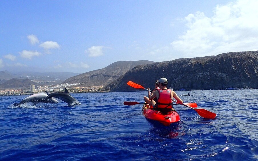 Picture 2 for Activity Tenerife: Kayaking and Snorkeling with Turtles