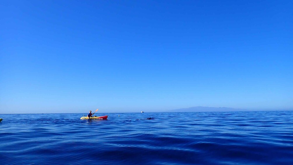 Picture 12 for Activity Tenerife: Kayaking and Snorkeling with Turtles