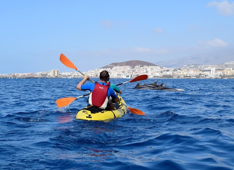 Picture 3 for Activity Tenerife: Kayaking and Snorkeling with Turtles