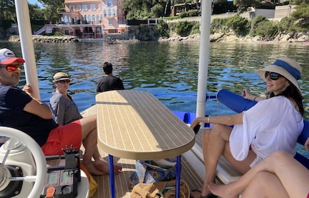 Nice : Croisière privée en bateau solaire sur la Côte d'Azur