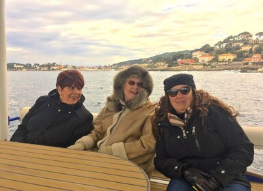 Nice: Private French Riviera Solar Boat Cruise