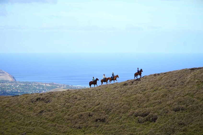 Picture 3 for Activity Easter Island: Private horse ride to mount Terevaka