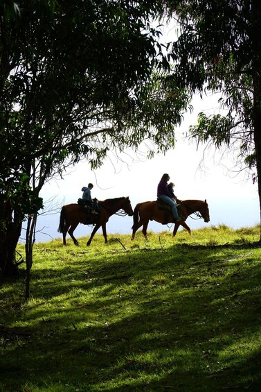 Picture 1 for Activity Easter Island: Private horse ride to mount Terevaka