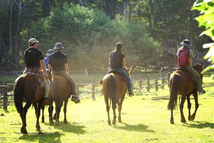 Terevaka Mount: Morning Horseback Riding & Planting Tour