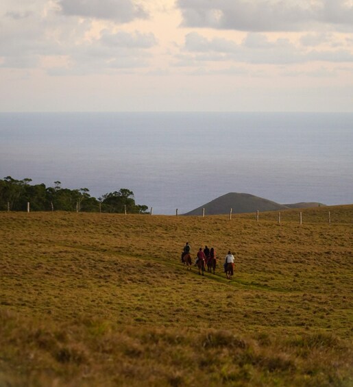 Picture 5 for Activity Easter Island: Private horse ride to mount Terevaka