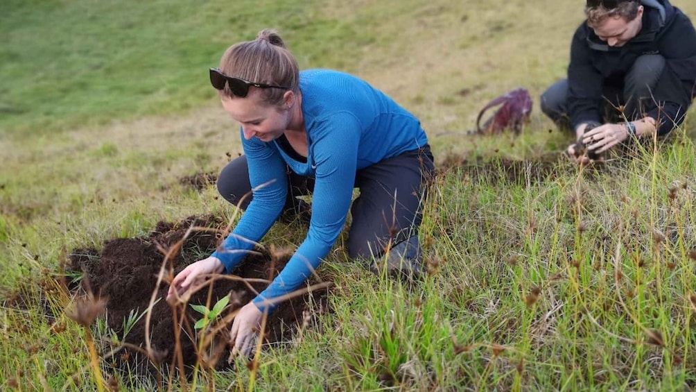 Terevaka Mount: Morning Horseback Riding & Planting Tour