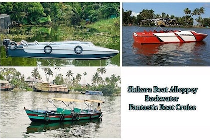 Shikara Boat Tour Alleppey Backwater Fantastic Boat Cruise