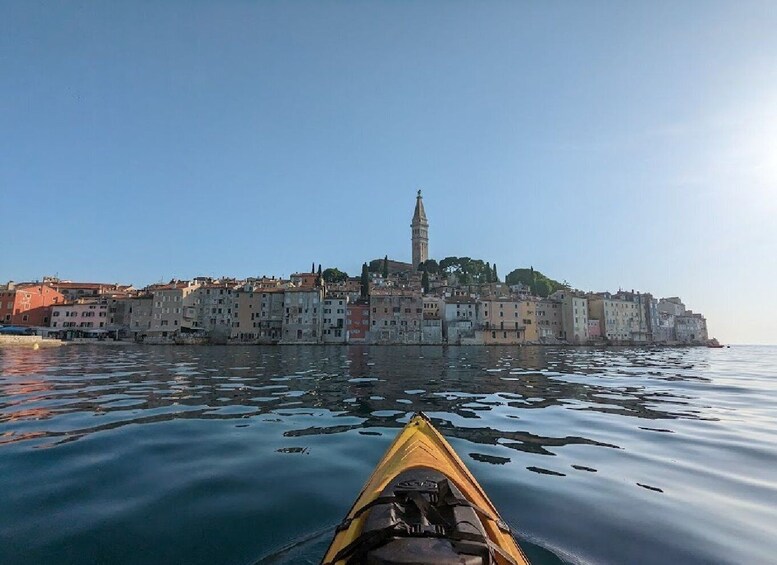 Picture 3 for Activity Rovinj Sunset kayaking tour