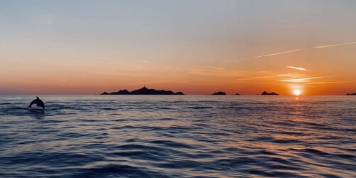 From Sagone or Cargèse: Sanguinaires Islands Sunset Tour