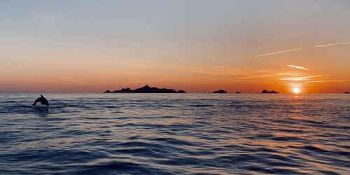 From Sagone or Cargèse: Sanguinaires Islands Sunset Tour