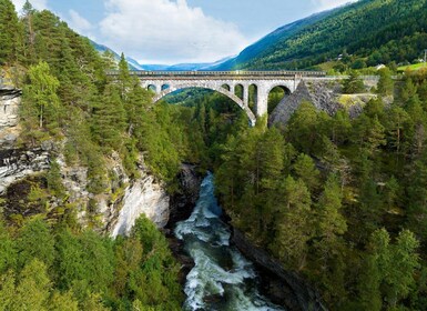 Romsdalen: Rauma Railway Golden Train with Guide