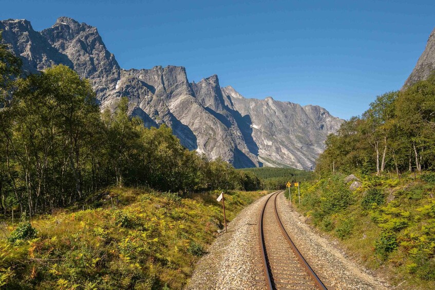 Picture 1 for Activity Romsdalen: Rauma Railway Golden Train with Guide