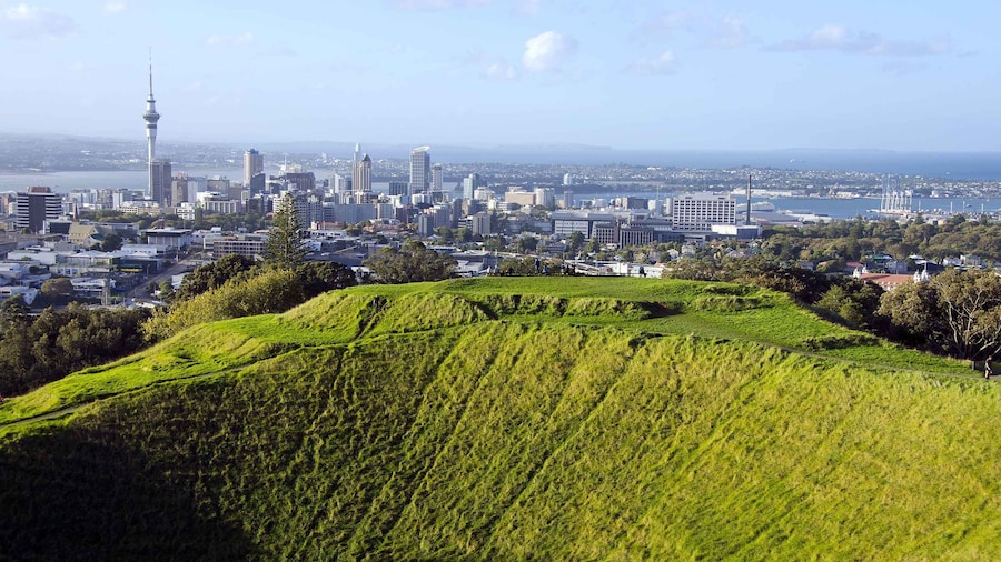 Auckland Scenic Half-Day City Sightseeing Tour