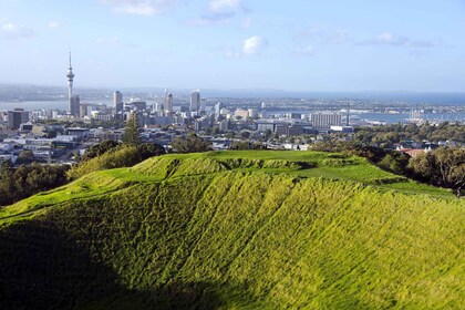 Tour panoramico della città di Auckland di mezza giornata