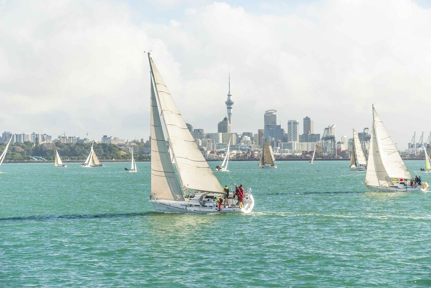 Picture 2 for Activity Auckland Scenic Half-Day City Sightseeing Tour