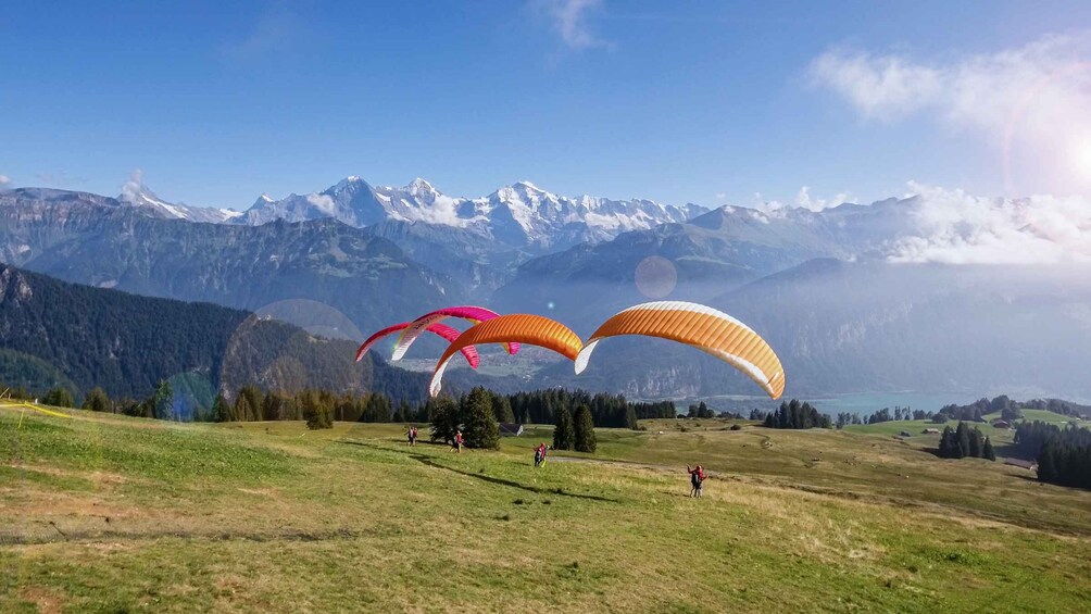 Picture 2 for Activity Interlaken: Tandem Paragliding Flight with Pilot