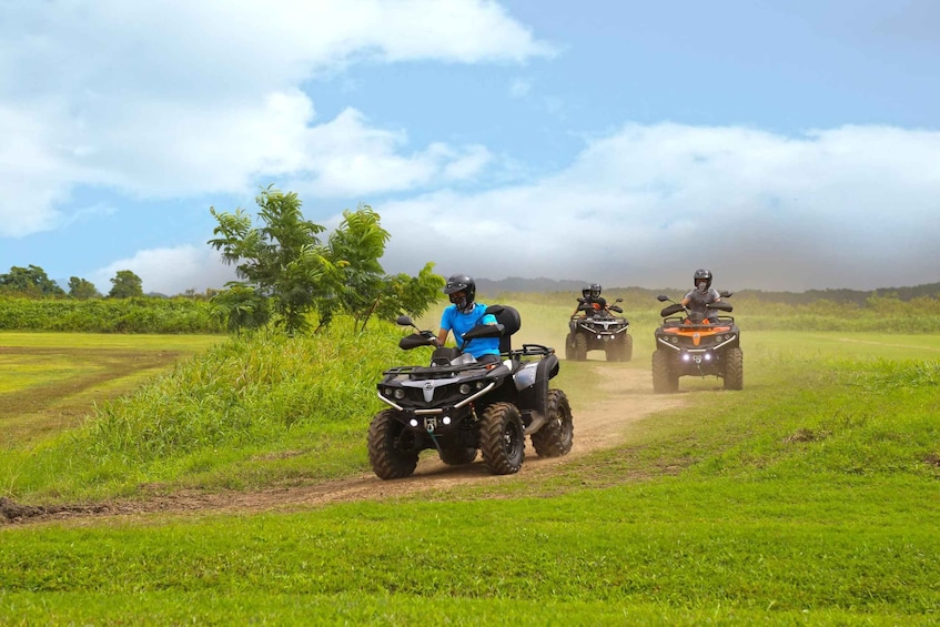 Picture 4 for Activity Carolina: ATV Adventure at Campo Rico Ranch with Guide