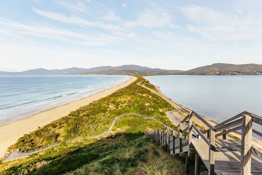 Picture 12 for Activity Hobart: Bruny Island Gourmet Sightseeing Day Tour