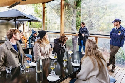 Hobart: Tour gastronomico di un giorno sull'isola di Bruny
