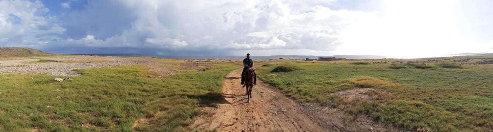 Picture 5 for Activity Aruba: 2-Hour Horseback Riding Tour