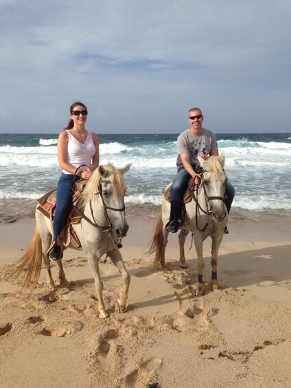 Picture 13 for Activity Aruba: 2-Hour advanced Horseback Riding Tour with Beach