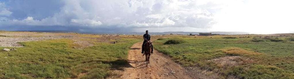 Picture 5 for Activity Aruba: 2-Hour Horseback Riding Tour