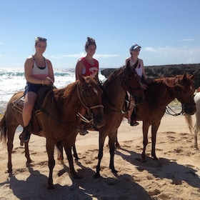 Tour a caballo de 2 horas en Aruba
