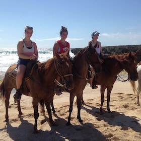 tour parque arikok Tour a caballo de 2 horas en Aruba