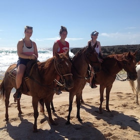 Aruba: Excursión a caballo de 2 horas