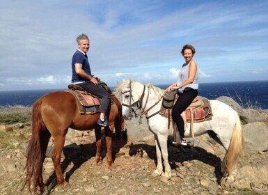 Aruba: 2-timers avanceret ridning på nordkysten