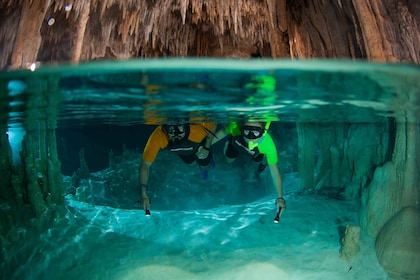 Cancún/Riviera Maya: ruinas de Tulum, baño de tortugas marinas y cenotes