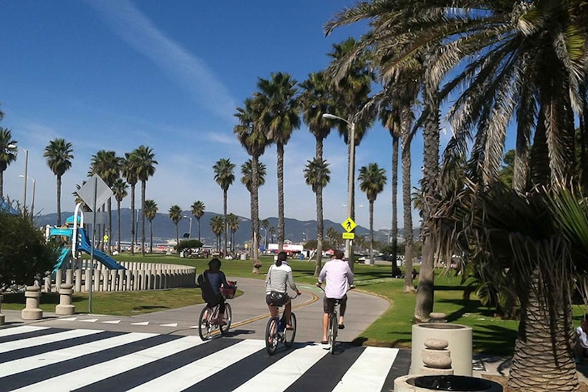 Picture 5 for Activity LA: Santa Monica & Venice Beach Bike Adventure