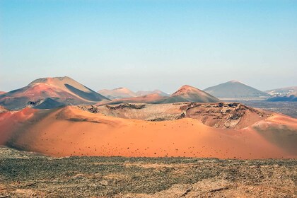 Lanzarote: Dagtocht Vulkanen & Grotten met gids en transfers
