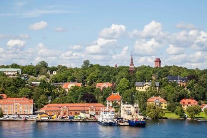 Stockholm: Land- och vattentur med amfibiebuss