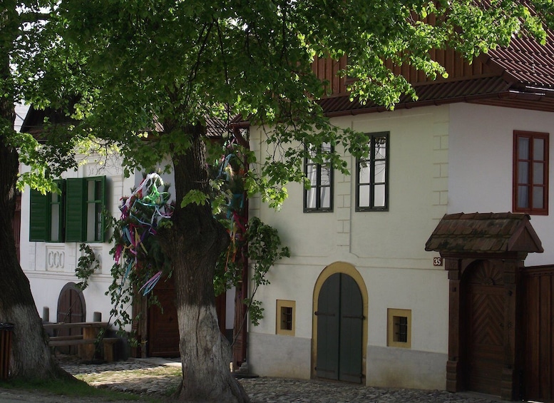 Picture 3 for Activity Turda Salt Mine & Gorge and Rimetea Village from Cluj-Napoca