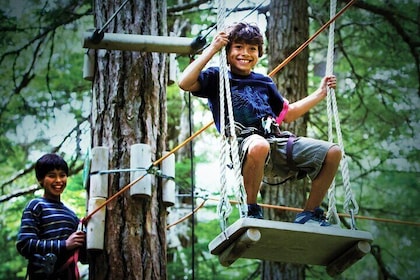 Kid's Aerial Obstacle Course