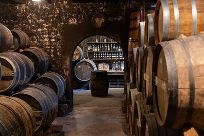 Savoie wine route from Lyon