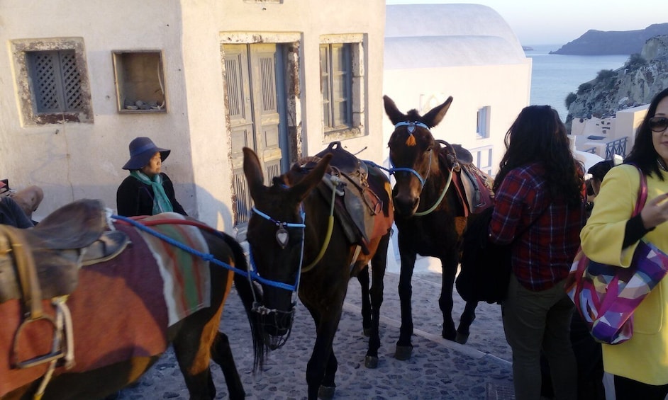 Picture 3 for Activity Santorini: Small-Group Highlights Tour of Venetian Castles