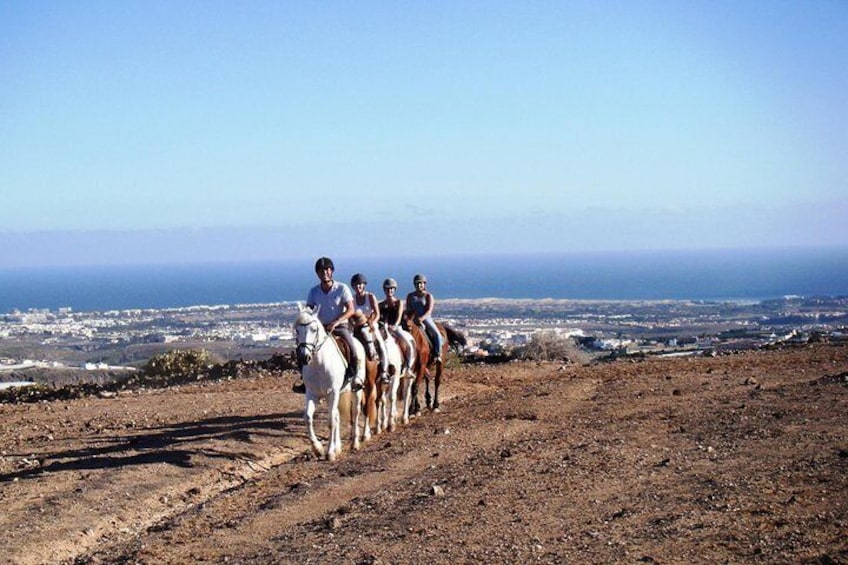 The Best Horse Riding Experience in Gran Canaria (1 hour)