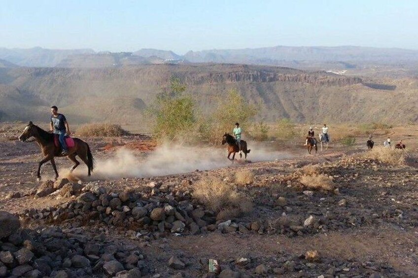 The Best Horse Riding Experience in Gran Canaria (1 hour)