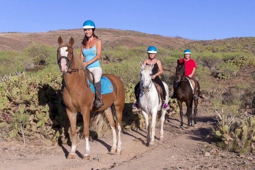 The Best Horse Riding Experience in Gran Canaria (1 hour)