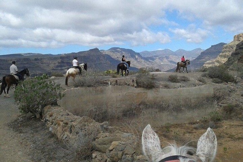 The Best Horse Riding Experience in Gran Canaria (1 hour)