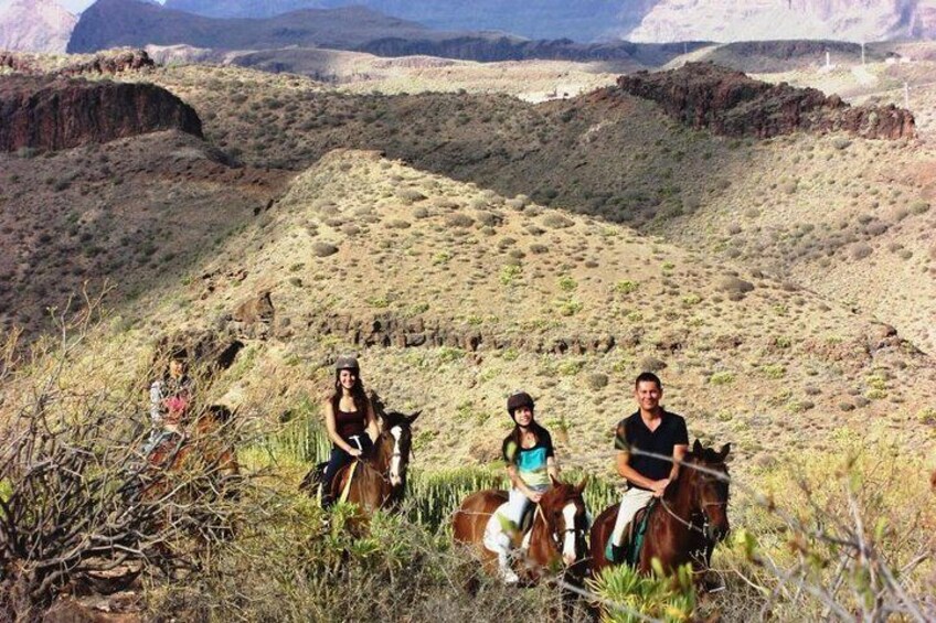 The Best Horse Riding Experience in Gran Canaria (1 hour)