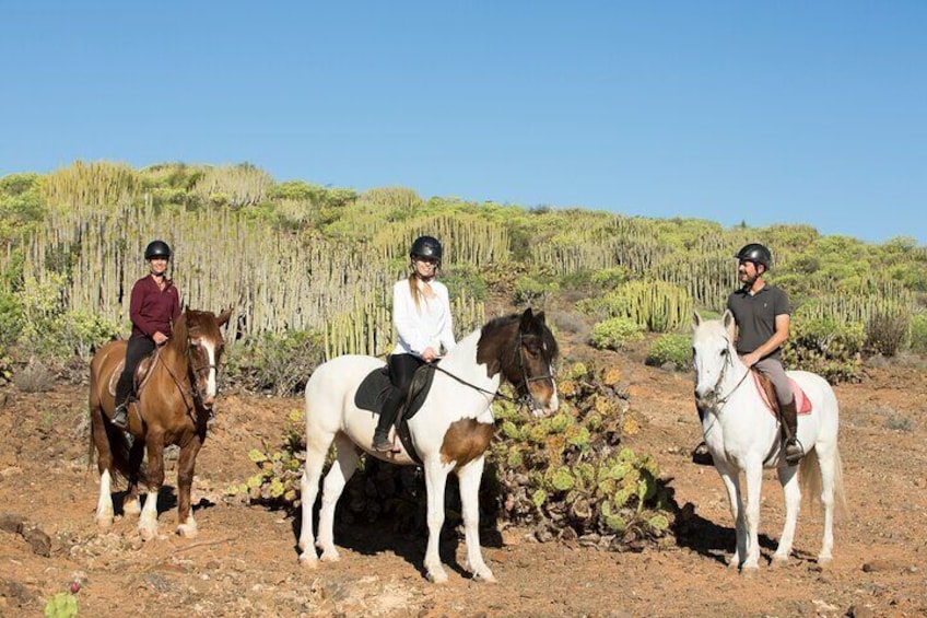 The Best Horse Riding Experience in Gran Canaria (2 hours)