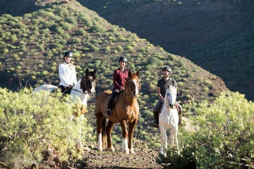 The Best Horse Riding Experience in Gran Canaria (2 hours)